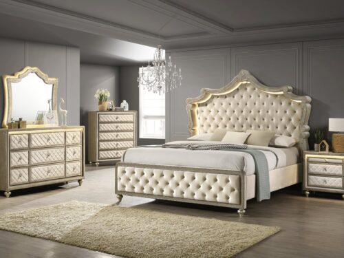 Kingdom 4PC OR 5PC Set - Queen, King